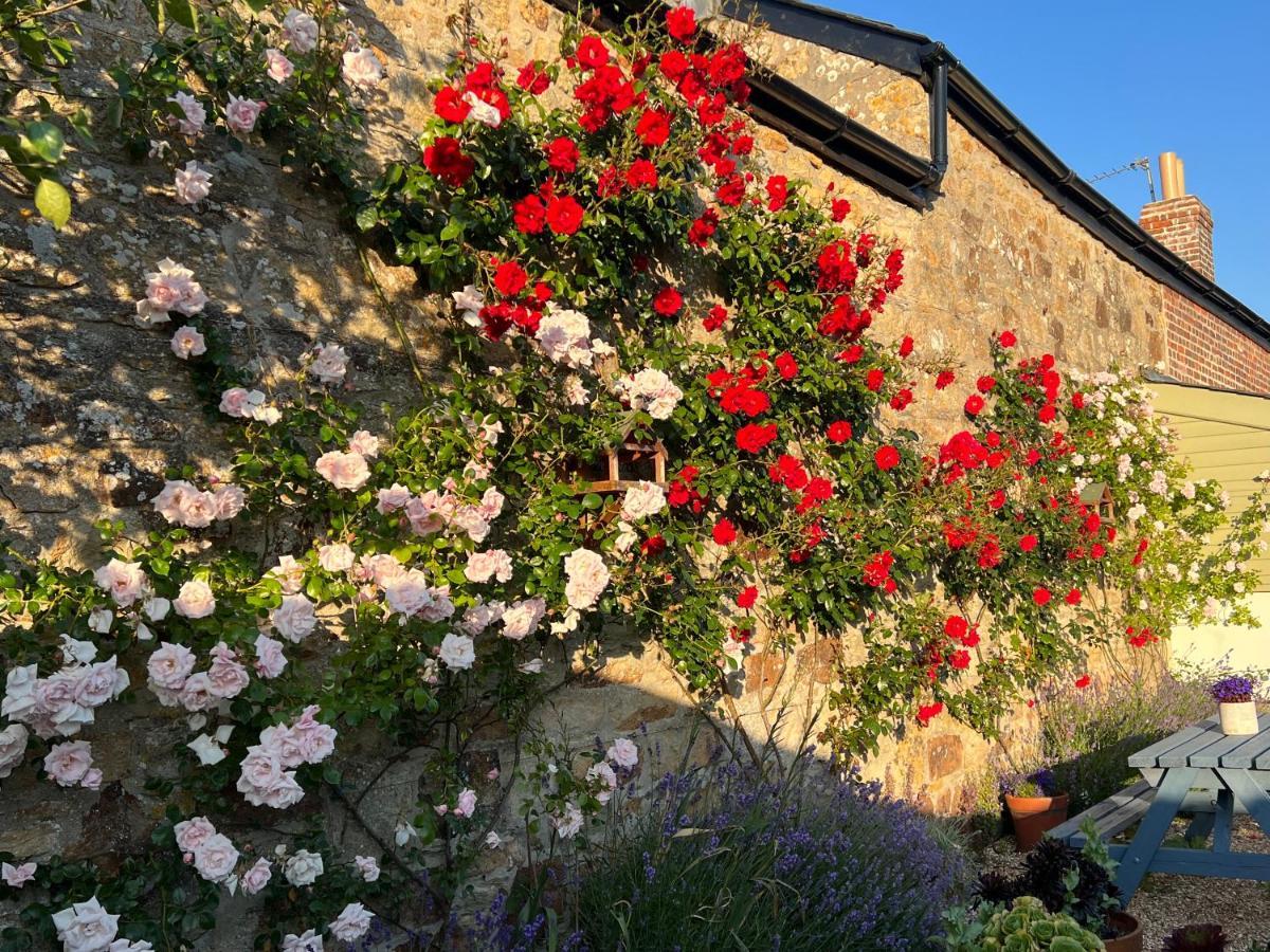 Bed and Breakfast Penwyth House Ньюки Экстерьер фото