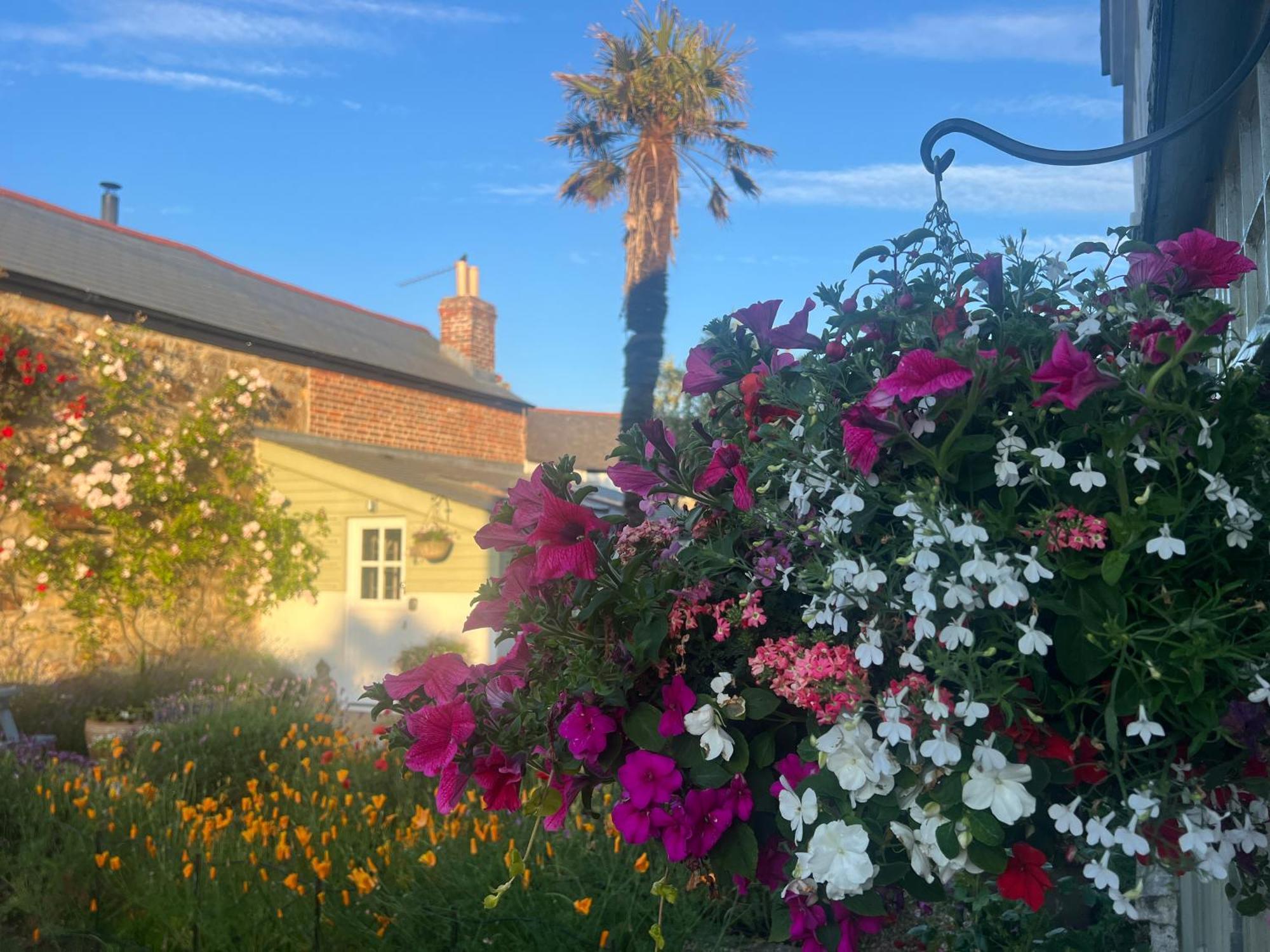Bed and Breakfast Penwyth House Ньюки Экстерьер фото